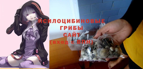 спайс Алзамай