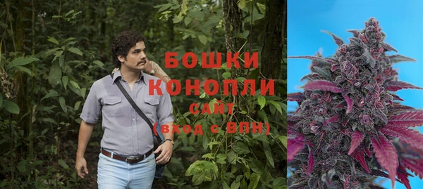 спайс Алзамай